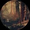 vintageredwood